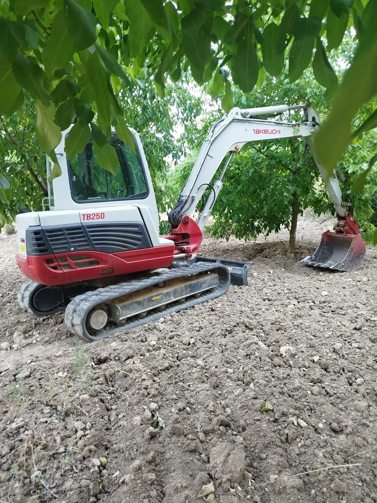Takeuchi TB250